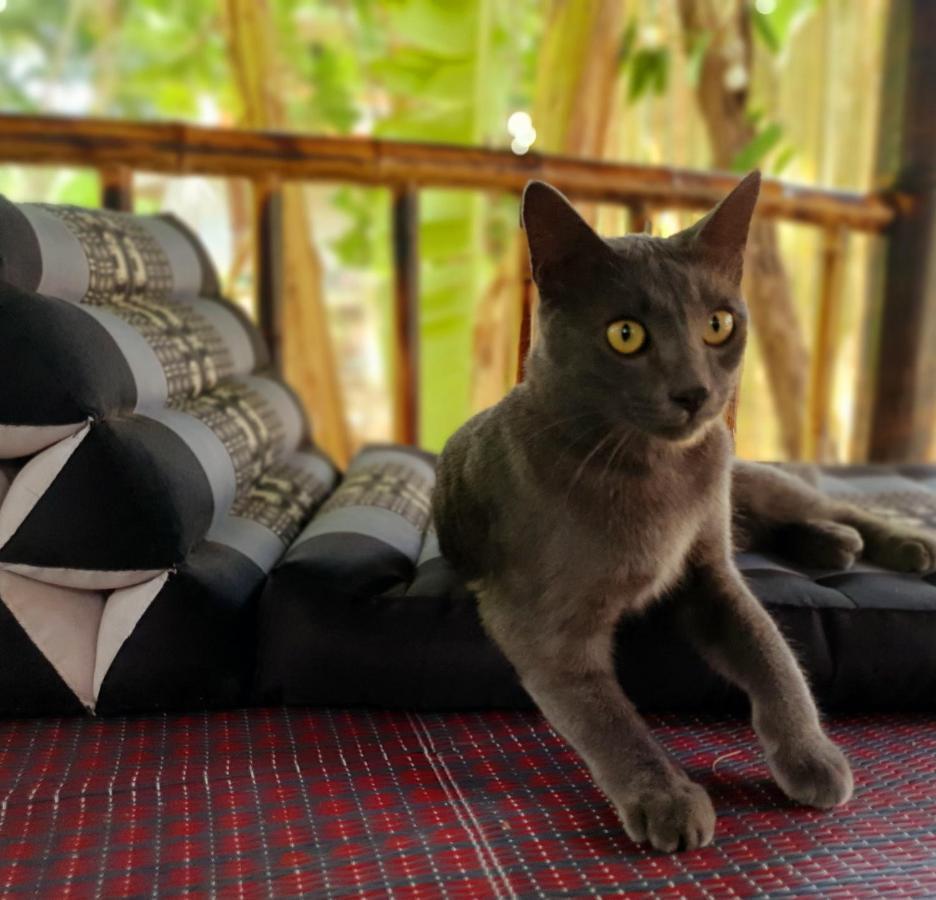 The Mellow Mango Ko Lanta Zewnętrze zdjęcie